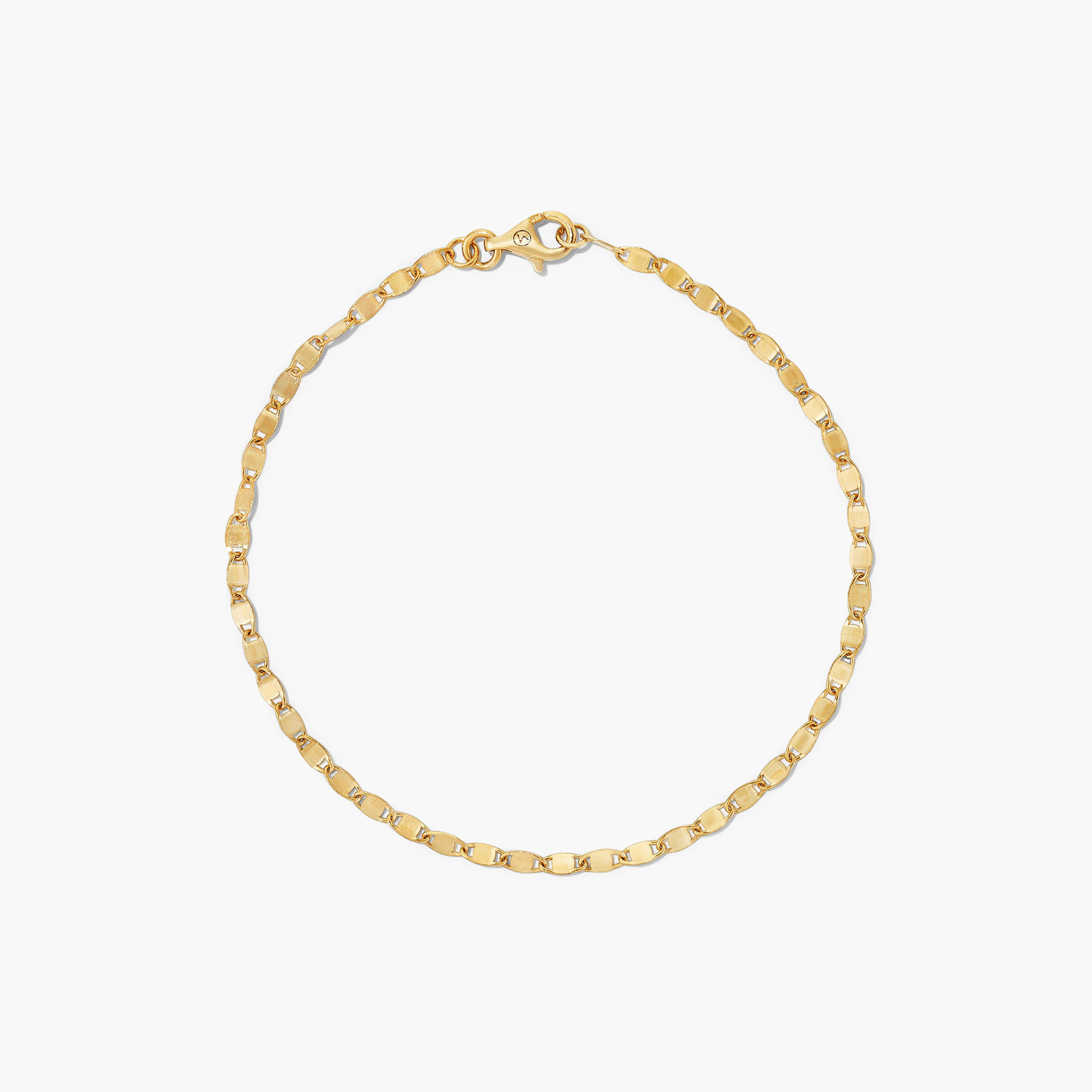 Anchor Chain Anklet